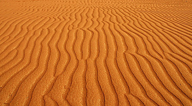 图案,荒芜,沙子,阿曼苏丹国