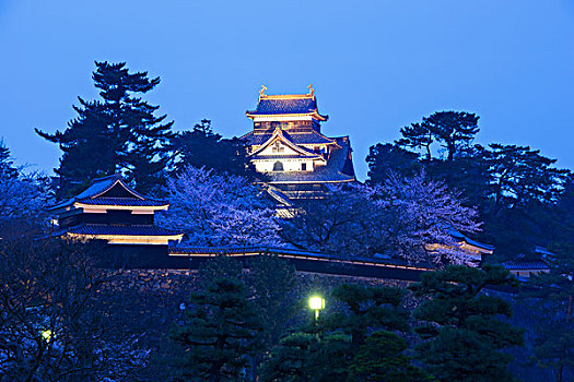 夜景,城堡