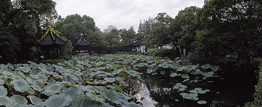 上海园林曲水园