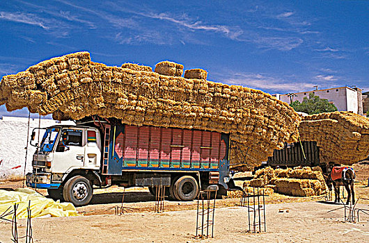摩洛哥,卡车,超负荷,捆,稻草