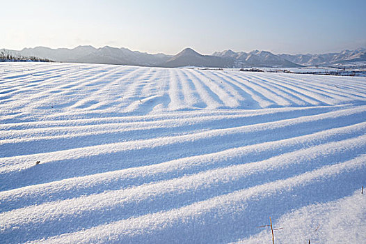 雪景,庙宇,雪,除雪