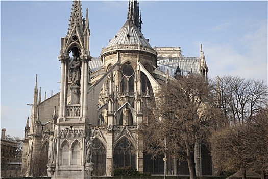 圣母大教堂,教堂,巴黎