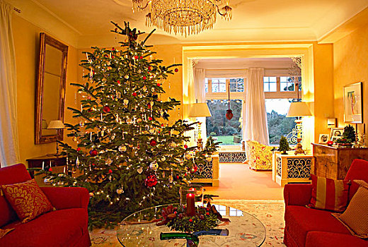 圣诞树,起居室