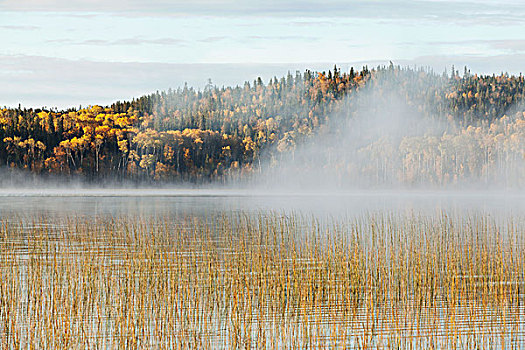 薄雾,上方,湖,安大略省,加拿大