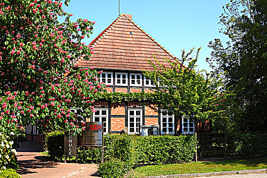 学校,半木结构房屋,下萨克森,德国,欧洲
