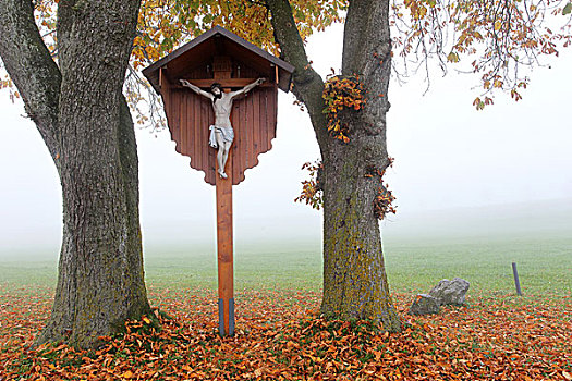路边,十字架,耶稣,秋天,雾气,七叶树,树,巴伐利亚,德国,欧洲