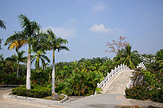 热带公园