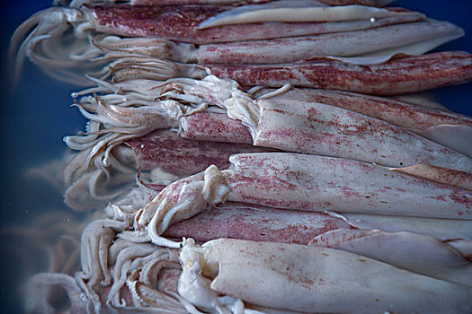 泰国芭堤雅金沙岛特色海鲜海鱼与鱿鱼