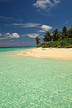 岛屿,北方,环礁,南方,马尔代夫,印度洋