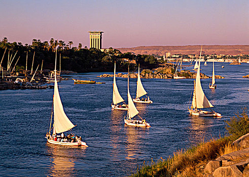 埃及,阿斯旺,尼罗河,象岛,三桅小帆船,航行
