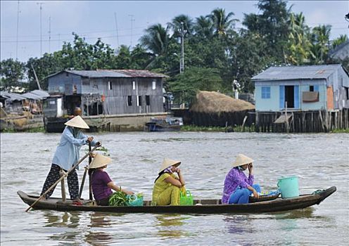 四个女人,传统,锥形,草帽,湄公河,湄公河三角洲,越南,亚洲