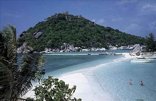 海滩,海洋,苏梅岛,小岛,挨着,龟岛,泰国