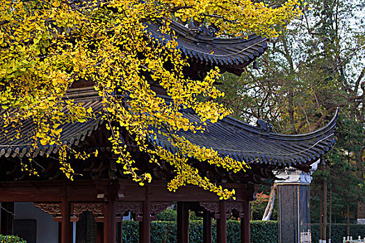 南京栖霞寺