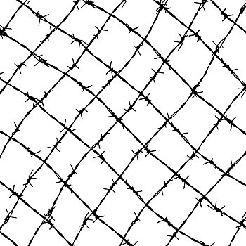栅栏,刺铁丝网,隔绝,白色背景,背景