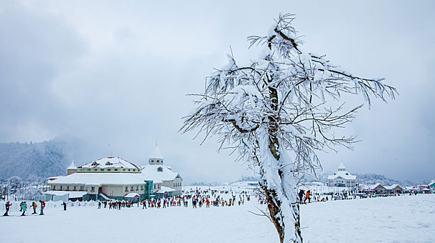 西岭雪山大雪的美丽风景