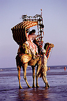 巴基斯坦,信德省,卡拉奇,克利夫顿海滩,家庭,骆驼,乘