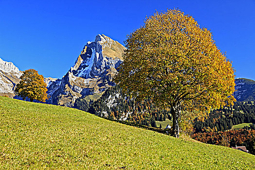 瑞士,阿尔卑斯山,阿彭策尔,山丘