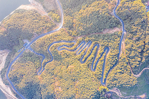 蜿蜒道路