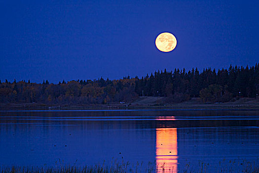 满月,萨斯喀彻温,加拿大