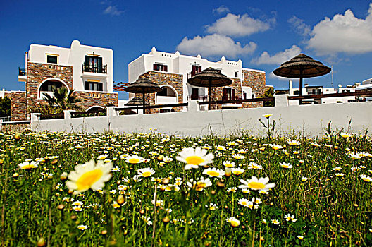 酒店,复杂,纳克索斯岛,基克拉迪群岛,希腊,欧洲