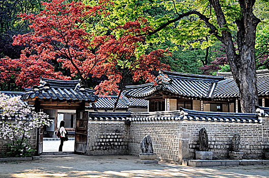 韩国,首尔,和谐,自然,传统建筑,秘密花园,昌德宫,宫殿