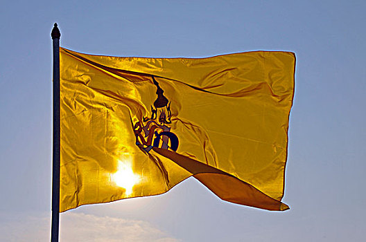 皇家,旗帜,泰国