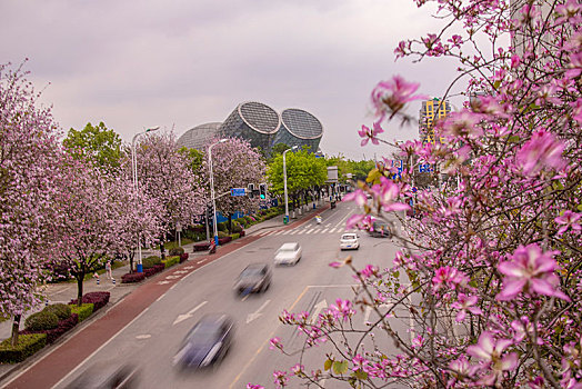 柳州市