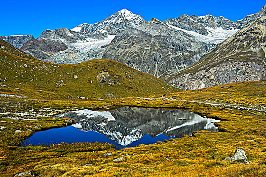 凹,高山湖,反射,阿尔卑斯山,策马特峰,瓦萊邦,瑞士,欧洲