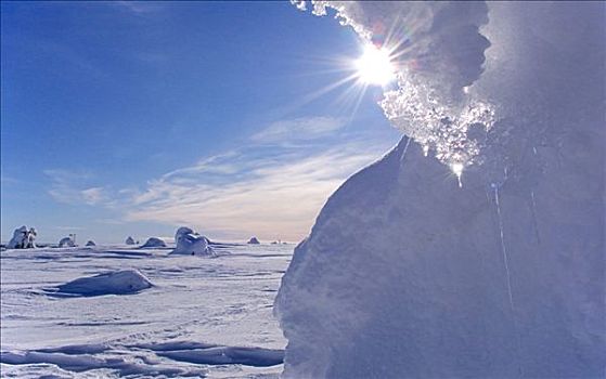 雪,排列,自然,胜地,芬兰