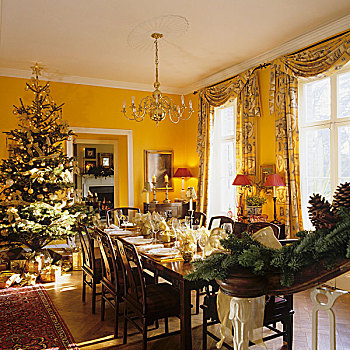 圣诞聚会,餐厅,英国,窗户,黄色,墙壁