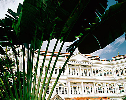 新加坡,莱佛士酒店
