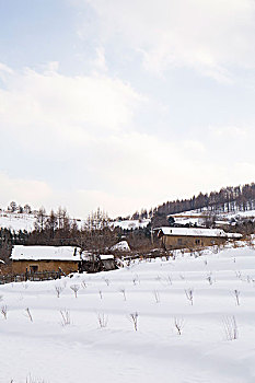 松岭雪村