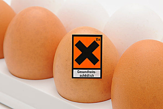 鸡,蛋,危险,象征,德国,图像,污染
