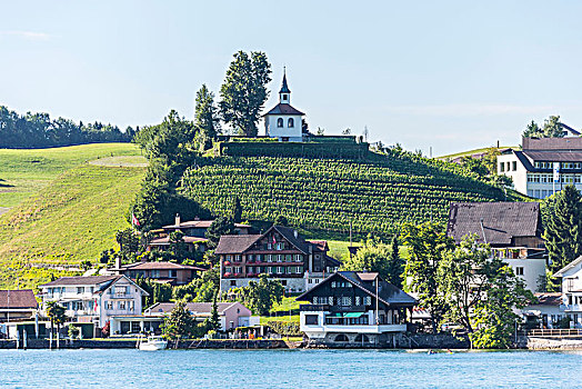 风景,桨轮船,琉森湖,卢塞恩市,瑞士