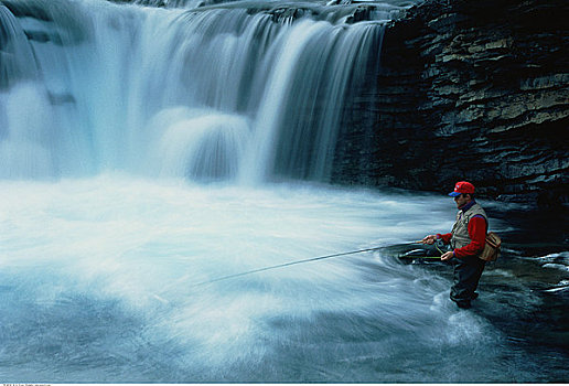 钓鱼,男人,瀑布,绵羊,河,艾伯塔省,加拿大
