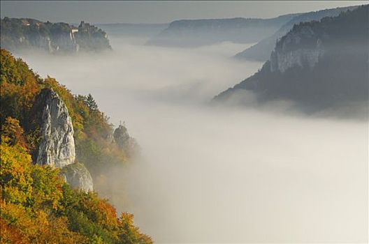 雾,多瑙河,山谷,秋色,巴登符腾堡,德国