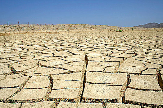 干燥,沙漠,红海,区域,西奈,埃及