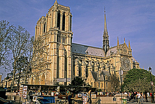 法国,巴黎,码头,古物,书店,圣母大教堂
