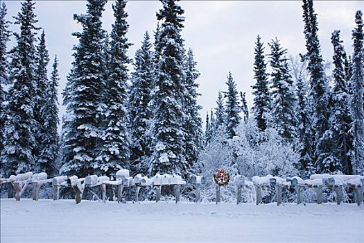 几个,邮箱,排列,一个,装饰,圣诞花环,冬天,阿拉斯加