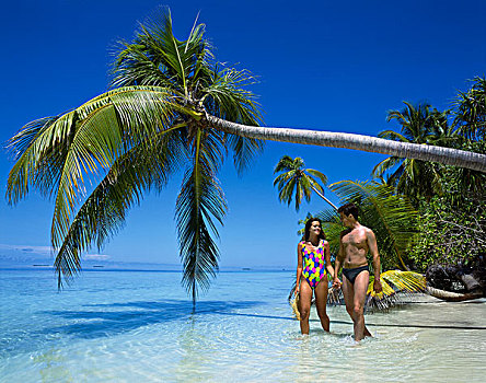 海滩,夫妻,阿里环礁,马尔代夫,印度洋