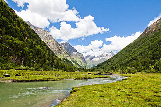 四姑娘山,美景