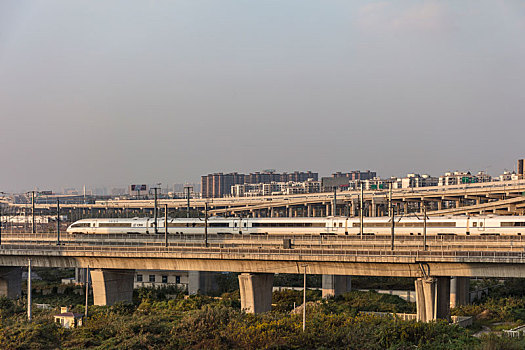 上海,高铁,站台,和谐号,列车