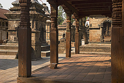 印度人,庙宇,帕苏帕蒂纳特寺,加德满都,尼泊尔