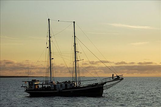 帆船,黄昏,加拉帕戈斯群岛,厄瓜多尔,南美