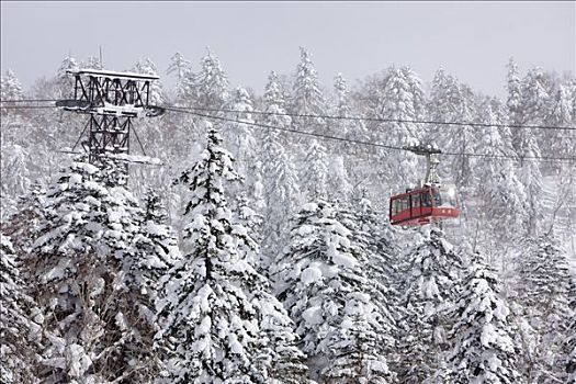 滑雪缆车,大雪山国家公园,北海道,日本