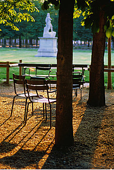 椅子,公园,巴黎,法国