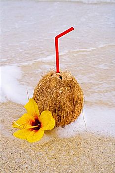 椰子,饮料,吸管,花,热带沙滩