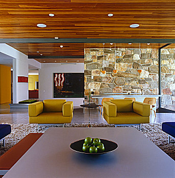 客厅,雪松,木,天花板,一对,黄色,扶手椅