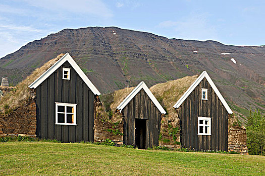 老,草皮,农舍,冰岛,欧洲