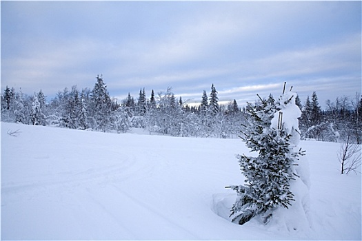 冬天,瑞典